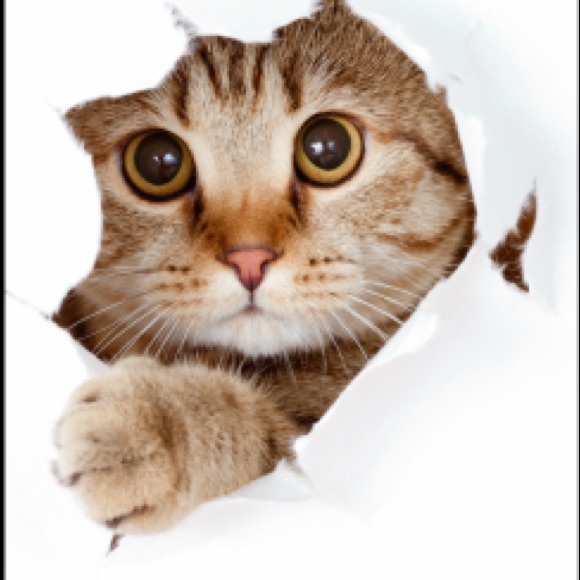 Disney broom purse - Picture 3 of 3